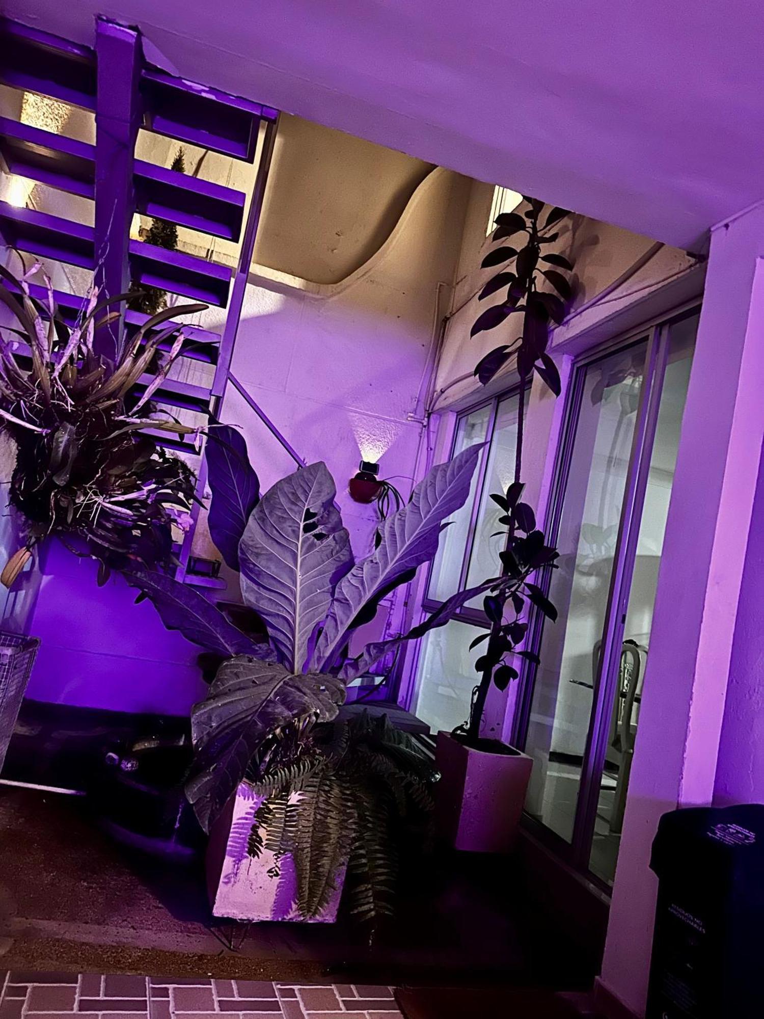איבגו Hostel Brisas Del Nevado מראה חיצוני תמונה